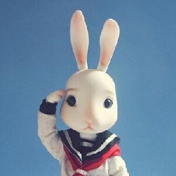 娱乐吃瓜直播间兔子,揭秘娱乐圈幕后吃瓜大揭秘 第2张 娱乐吃瓜直播间兔子,揭秘娱乐圈幕后吃瓜大揭秘 第2张