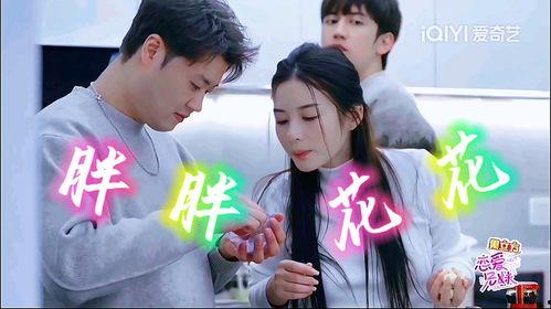 恋爱兄妹最新爆料电视剧,揭秘剧中兄妹情深的秘密 第1张 恋爱兄妹最新爆料电视剧,揭秘剧中兄妹情深的秘密 第1张