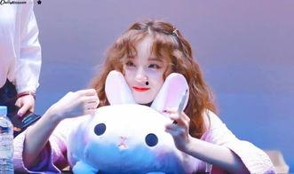 白鹿宋雨琦娱乐爆料,揭秘明星幕后故事 第1张 白鹿宋雨琦娱乐爆料,揭秘明星幕后故事 第1张