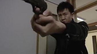 交警爆料歹徒视频播放,歹徒作案视频，全民助力抓捕  第2张